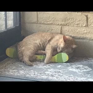 Meet your Posher, Marci